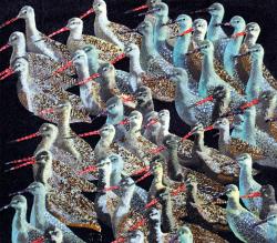 Beaks