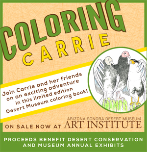 Coloring Carrie - Join Carrie and her friends on an exciting adventure in this limited edition Desert Museum coloring book! On sale now from the Art Institute. Proceeds benefit desert conservation and museum annual exhibits