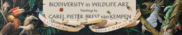 Biodiversity in Wildlife Art: Paintings by Carel Pieter Brest van Kempen