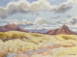 San Rafael Grasslands