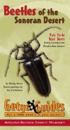 Beetles of the Sonoran Desert