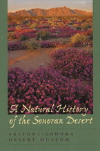 Cover: A Natural History of the Sonoran Desert