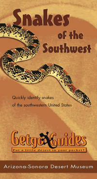 Snakes of the Southwest
