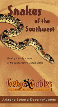 Cover: Snakes of the Southwest