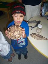 Sonoran Desert Waters Institute