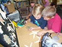 Sonoran Desert Waters Institute