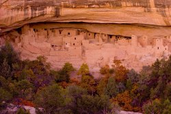 © Piet Van de Mark 2008. Cliff Palace, Mesa Verde