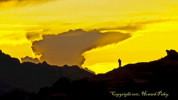 Thumbnail of HHP_Dwarfed_dsc_0125.jpg