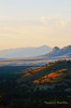 Thumbnail of HHP_ElginLandscape_DSC_2462.jpg