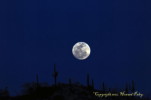 Thumbnail of HHP_LunaBella_DSC_1809.jpg