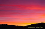 Thumbnail of HHP_TequilaSunrise_DSC_0215.jpg