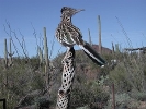 Thumbnail of EPSN0040.jpg