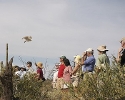 Thumbnail of rff_81.jpg