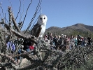 Thumbnail of tyCROWD54.jpg