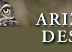 designbar