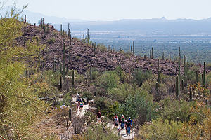 Desert Loop Trail