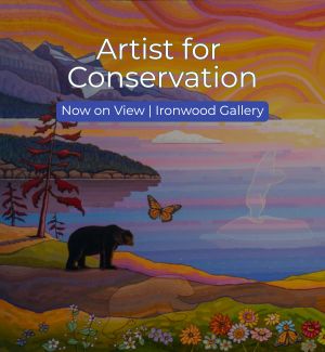 Graphic of sunset for exhibition 