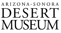 ASDM Logo
