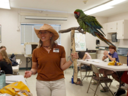 Parrot interpretation in the classroom