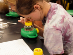 Student performs a science experiment