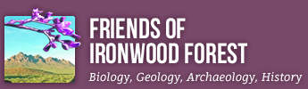 Friends of Ironwood Forest