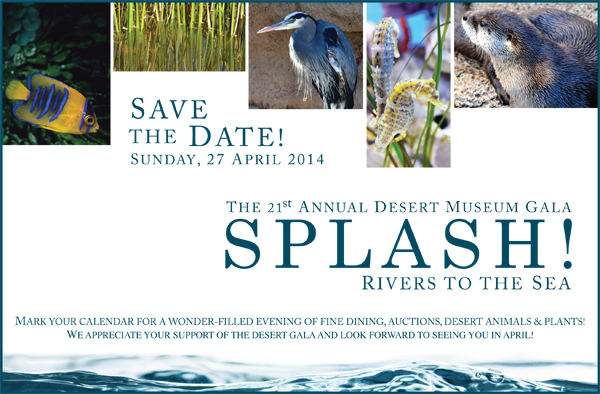 Save the Date! Sunday, 27 April 2014 - the 21st Annual Desert Museum Gala - Splash! Rivers to the Sea - Mark your calendar for a wonder-filled evening of fine dining, auctions, desert animals and plants! We appreciate your support of the Desert Gala and look forward to seeing you in April!