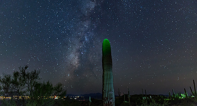 Milky Way over Saguaro