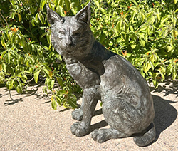 Bobcat bronze sculpture sits on an adobe wall with desert landscape and blue sky as background