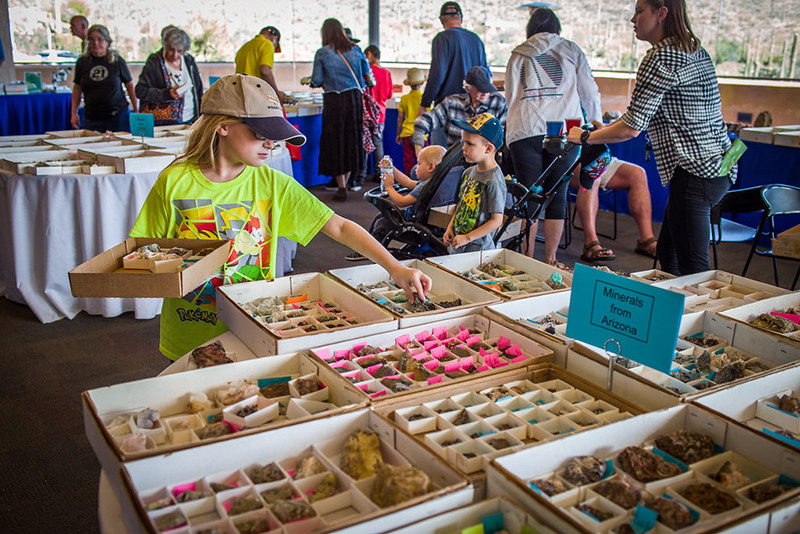 Young guest selecting minerals