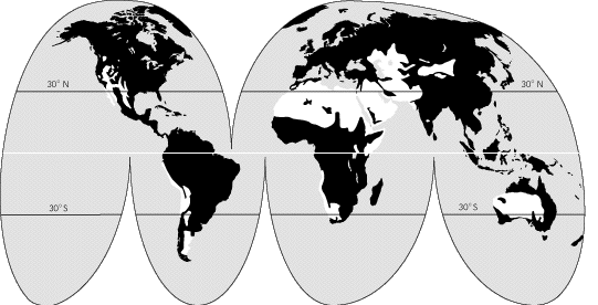 Illustration of the World - projected