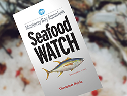 Seafood Watch Guide