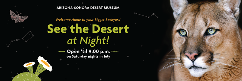 See the Desert at Night! - Open until 9:00 p.m. on Saturday nights in July 2020