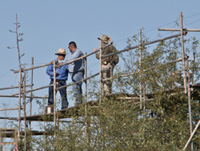 Exhibits staff on scaffolding at rear of exhibit
