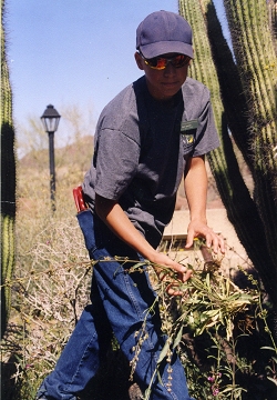 A Teen Volunteer works with plants