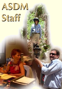 Staff enjoying their work