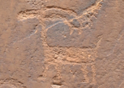 Native American rock carving of animal