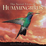 Cover: The Secret Lives of Hummingbirds