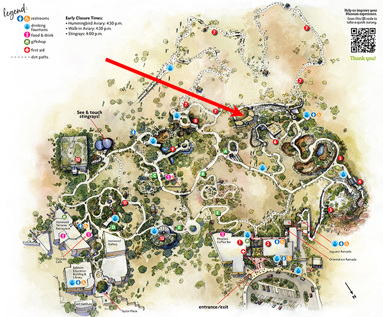 Museum map showing location of Chiricahua Leopard Frog