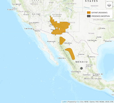 Range Map for Chiricahua Leopard Frog