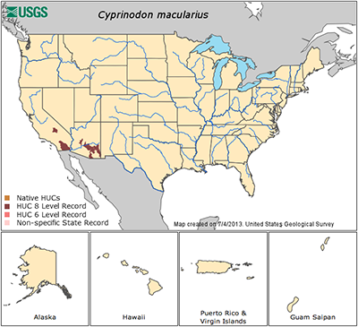 Range Map for Desert and Sonoyta Pupfish