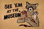 Thumbnail of See 'Em at the Museum - drawing by Chuck Waggin aka Charles Amesbury