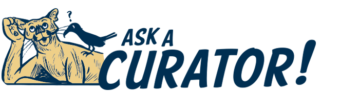 Ask a Curator!