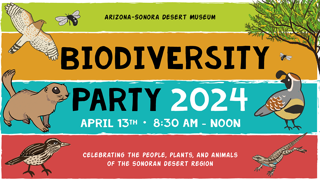 Biodiversity Graphic Logo with Raptor, Bees, Prairie Dog, Cactus Wren, Lizard, and Quail. Arizona-Sonora Desert Museum BioDiversity on April 13th, 2024.
