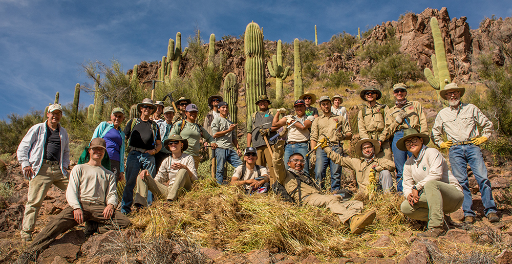 Buffelgrass Pull Volunteers pose with the results of their labors