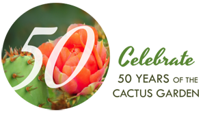 Celebrate 50 years of the Cactus Garden