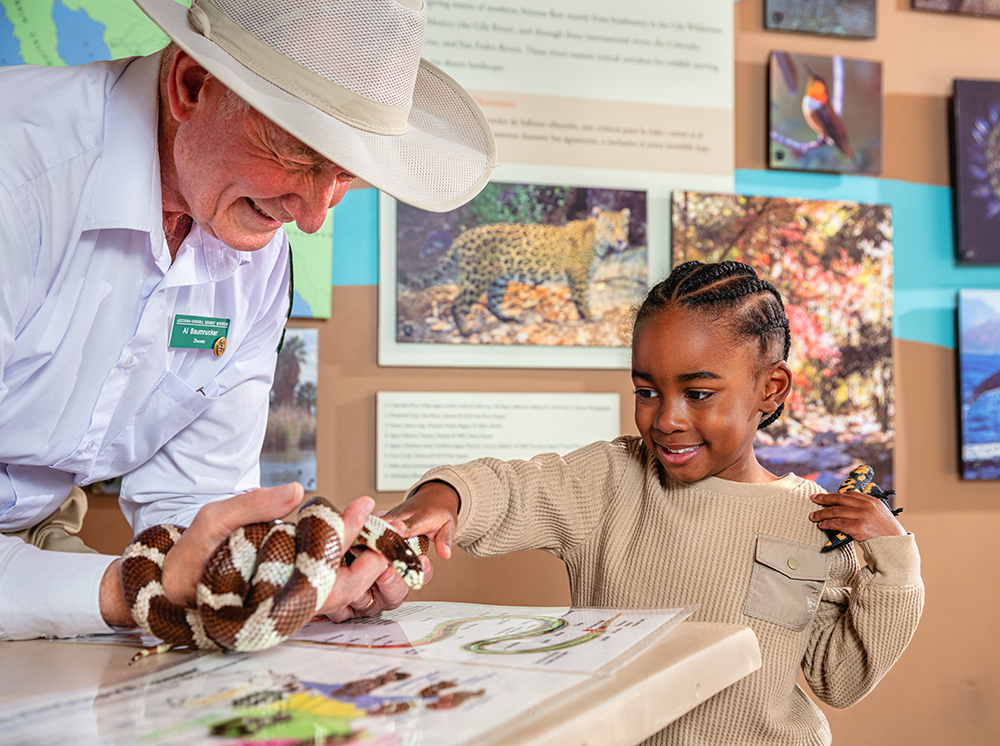 A child interacts with a docent and a snake