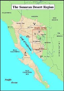 Map of the Sonoran Desert Region