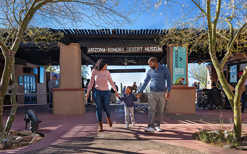 Smiling family of three (mother, child, father) are shown holding hands as they leave the Desert Museum after a visit. Behind them, many other guests are visible on the front patio area.
