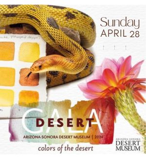Colors of the Desert graphic