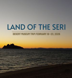 Graphic of the beach